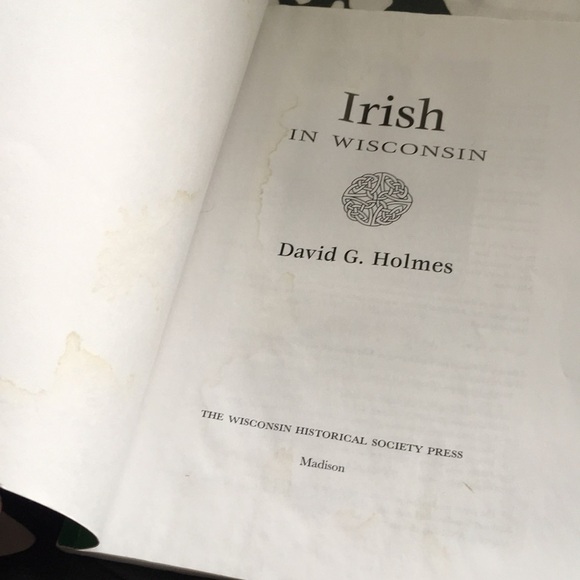 Irish In Wisconsin Paperback by David G. Holmes 2004 𝅺☘️ - Picture 3 of 6